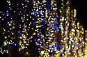 DSC09419.jpg