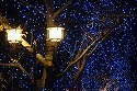 DSC09467.jpg