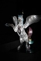 DSC09471.jpg