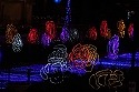 DSC09486.jpg