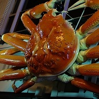 DSCF0038.jpg