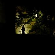 DSCF8117.jpg