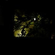 DSCF8119.jpg