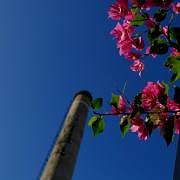 DSCF8123.jpg