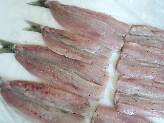 IMG_20130618_113818626.jpg