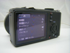 DP-2 (2)