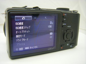 DP1 (2)
