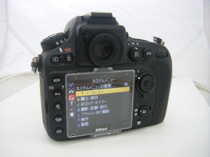 DSCF0007