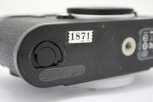 IMG_9948