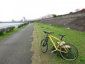 IMG_0768