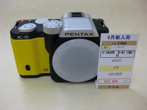 ペンタックス　K-01