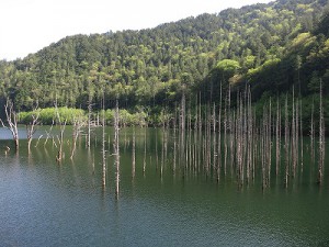 王滝100km