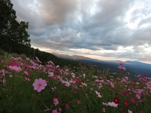 王滝100km