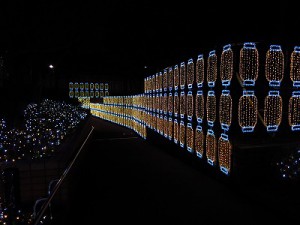 天王寺イルミナージュ