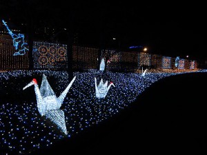 天王寺イルミナージュ