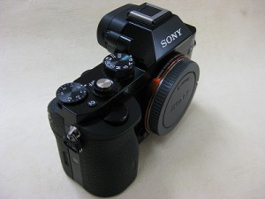 IMG_0016