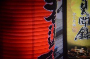 Holga　Lens60/8　ニコン用！