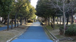 大野川歩行者専用道