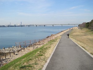 淀川河口　矢倉緑地