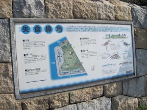 淀川河口　矢倉緑地