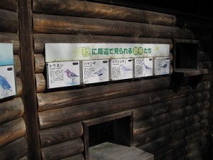 淀川河口　矢倉緑地
