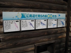淀川河口　矢倉緑地