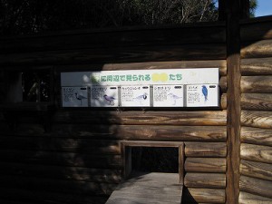 淀川河口　矢倉緑地