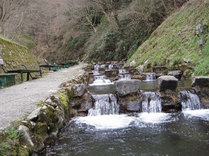 千早赤阪村