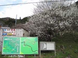 千早赤阪村