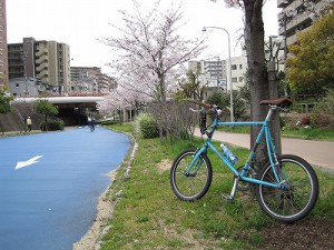 桜満開