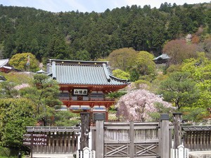 勝尾寺