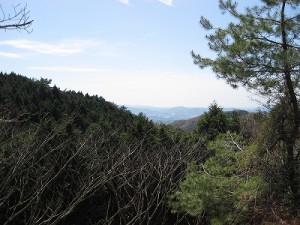 妙見山上