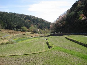 北摂霊園