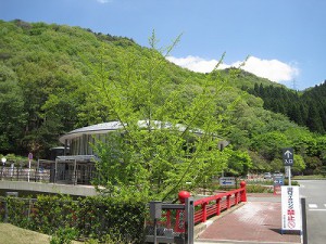 北摂霊園