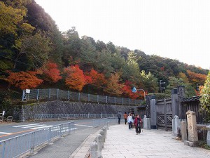 オリンパス　XZ-1　勝尾寺