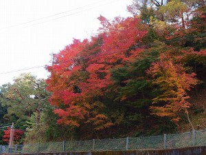 オリンパス　XZ-1　勝尾寺