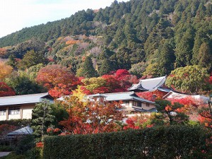 オリンパス　XZ-1　勝尾寺