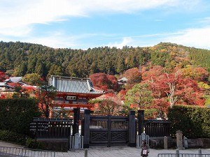 オリンパス　XZ-1　勝尾寺