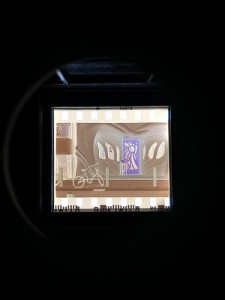 IMG_1537