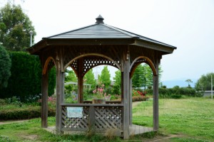 ニコン AF-S DX 16-85mm F3.5-5.6G ED VR  
