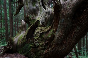 24mm　F8　-1.3（1/20）　ISO400