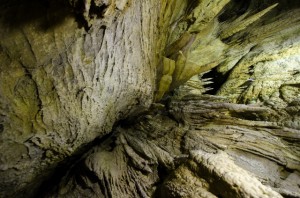 10mm　F4.5　-1（1/50）　ISO800