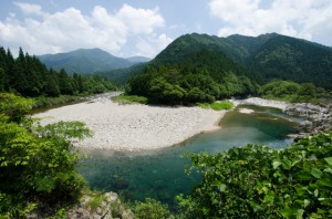 10mm　F8　-1（1/1000）　ISO200