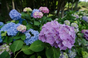 10mm　F4.5　（1/500）　ISO200