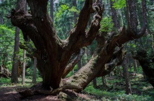 24mm　F8　-1.3（1/60）　ISO400