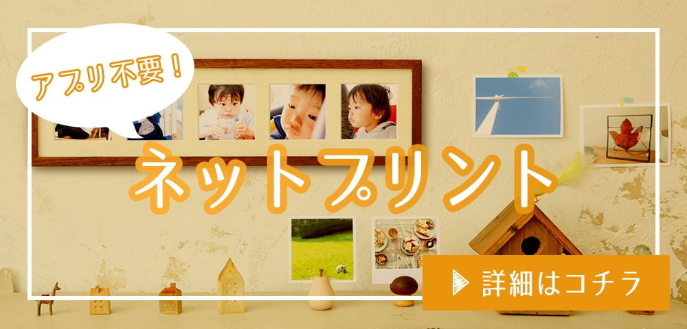 【ニシ】2018年年賀状★無地インクジェット、カメラ2 plain_img_01_1.jpg