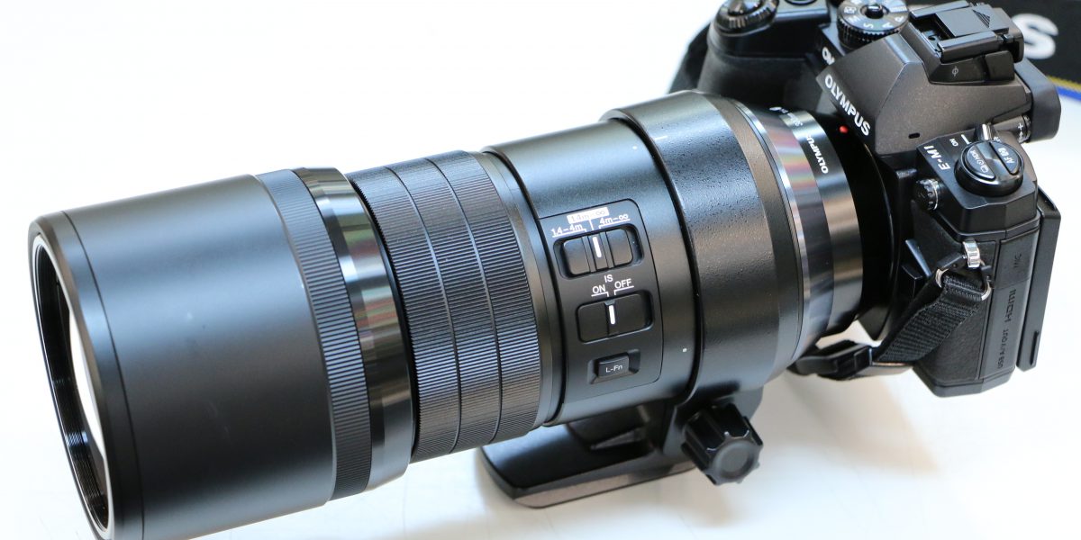 OLYMPUS 単焦点レンズ M.ZUIKO DIGITAL ED 300mm