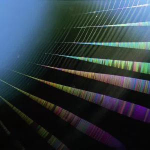 江口 愼一作品（3）