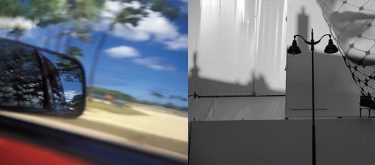 吉田先生の作例写真