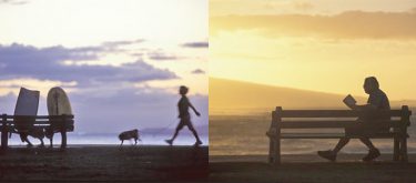 吉田先生の作例写真